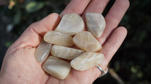 Load image into Gallery viewer, Moonstone - Tumbled M