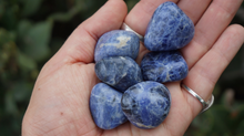 Load image into Gallery viewer, Sodalite - Tumbled M