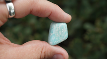 Load image into Gallery viewer, Amazonite - Tumbled M