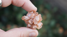 Load image into Gallery viewer, Aragonite - Cluster 30-45 L