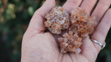 Load image into Gallery viewer, Aragonite - Cluster 30-45 L