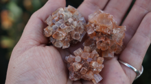 Load image into Gallery viewer, Aragonite - Cluster 30-45 L