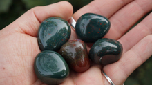 Load image into Gallery viewer, Bloodstone Tumbled - S/M