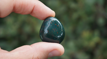 Load image into Gallery viewer, Bloodstone Tumbled - S/M