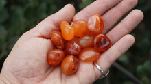 Load image into Gallery viewer, Carnelian - Tumbled XS