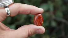 Load image into Gallery viewer, Carnelian - Tumbled XS