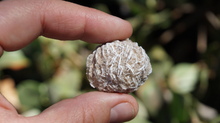 Load image into Gallery viewer, Desert Rose - Raw L