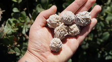 Load image into Gallery viewer, Desert Rose - Raw L