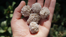 Load image into Gallery viewer, Desert Rose - Raw L