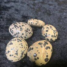 Load image into Gallery viewer, Dalmation - Tumbled S