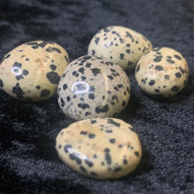 Load image into Gallery viewer, Dalmation - Tumbled S