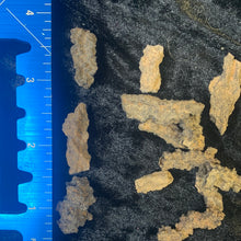Load image into Gallery viewer, Fulgurite Wishing Horns