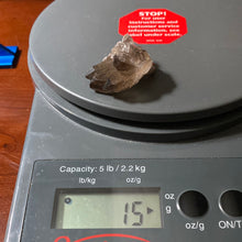 Load image into Gallery viewer, Smoky Quartz - Clusters/15