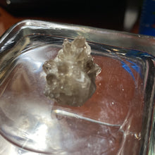 Load image into Gallery viewer, Smoky Quartz - Clusters/6