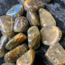 Load image into Gallery viewer, Tumbled Labradorite -S