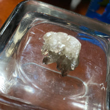 Load image into Gallery viewer, Smoky Quartz - Clusters/6
