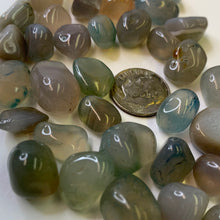 Load image into Gallery viewer, Blue Lace Agate - Tumbled S/per 10g