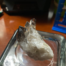 Load image into Gallery viewer, Smoky Quartz - Clusters/56