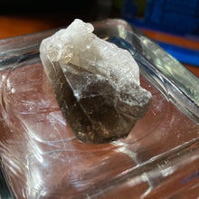 Load image into Gallery viewer, Smoky Quartz - Clusters/23