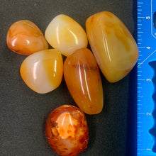 Load image into Gallery viewer, Carnelian - Tumbled M