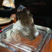 Load image into Gallery viewer, Smoky Quartz - Clusters/71