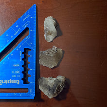 Load image into Gallery viewer, Smoky Quartz - Raw L