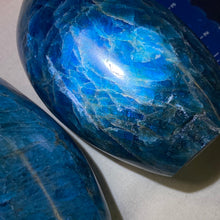 Load image into Gallery viewer, Apatite - Polished L