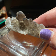 Load image into Gallery viewer, Smoky Quartz - Clusters/53