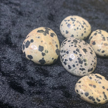 Load image into Gallery viewer, Dalmation - Tumbled S