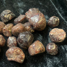 Load image into Gallery viewer, Garnet - Tumbled S
