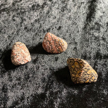 Load image into Gallery viewer, Leopard Jasper - Tumbled S