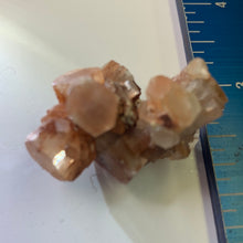 Load image into Gallery viewer, Aragonite - Cluster M
