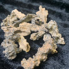 Load image into Gallery viewer, Fulgurite Wishing Horns
