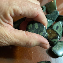 Load image into Gallery viewer, Crocodile Jasper Large Tumbles