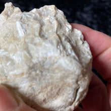Load image into Gallery viewer, Pyrophylite - Raw M