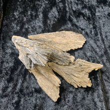 Load image into Gallery viewer, Kyanite Black - Raw L