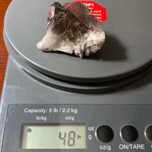 Load image into Gallery viewer, Smoky Quartz - Clusters/48