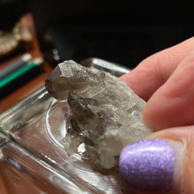 Load image into Gallery viewer, Smoky Quartz - Clusters/53