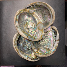 Load image into Gallery viewer, Abalone Shells - M