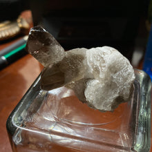 Load image into Gallery viewer, Smoky Quartz - Clusters/77