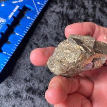 Load image into Gallery viewer, Pyrite - Cluster S