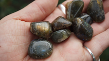 Load image into Gallery viewer, Tumbled Labradorite -S