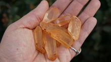 Load image into Gallery viewer, Golden Red Tangerine Lemurian Seed Quartz - Points M