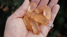 Load image into Gallery viewer, Golden Red Tangerine Lemurian Seed Quartz - Points M