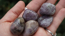 Load image into Gallery viewer, Lepidolite - Tumbled M