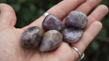 Load image into Gallery viewer, Lepidolite - Tumbled M
