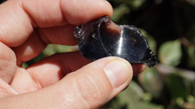 Load image into Gallery viewer, Black Obsidian Glass- Raw L