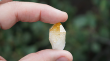 Load image into Gallery viewer, Citrine - Points M