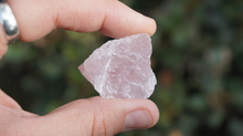 Load image into Gallery viewer, Rose Quartz - Raw S