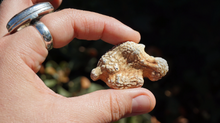Load image into Gallery viewer, Snakeskin Agate - Raw XL